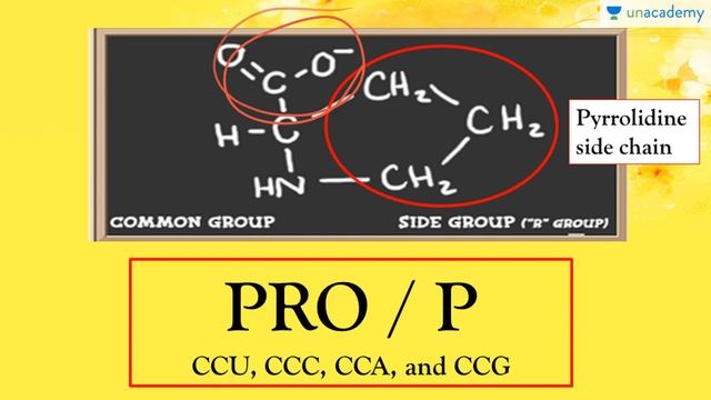 Amino Acids - Proline смотреть онлайн