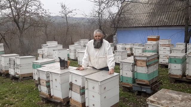 Часть 2-ая. Быстрый осмотр, наличия кормов и силы семьи. смотреть онлайн