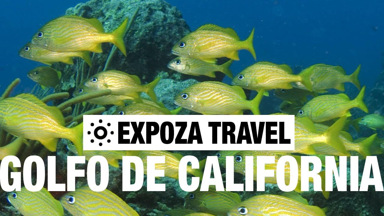 El Golfo de California Vacation Travel Video Guide смотреть онлайн