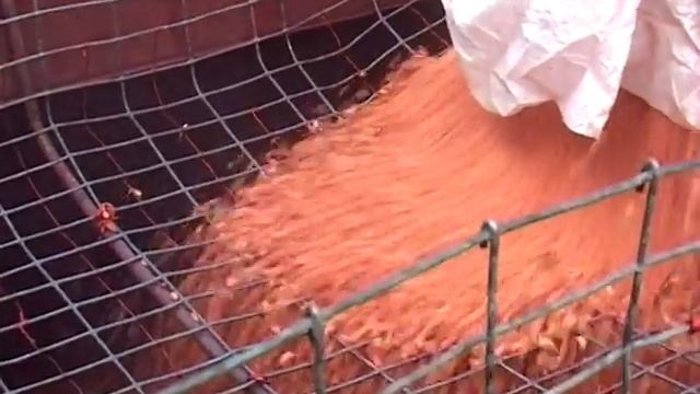 Сельское хозяйство Лен го района смотреть онлайн