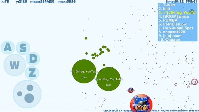 Чашка Петри | line сплит | Тащу смотреть онлайн