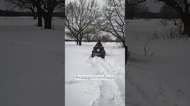 Продолжаем танцевать квадроламбаду #квадроциклы #atv #cfmoto смотреть онлайн