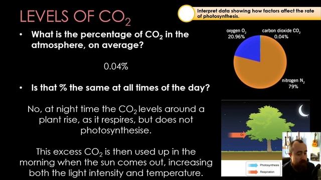 Photosynthesis Limiting Factors - GCSE Biology смотреть онлайн