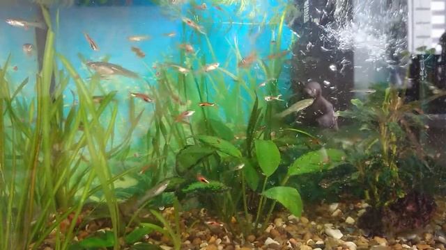 01 04 2022 смотреть онлайн