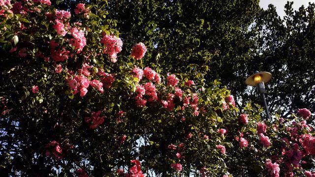 Слушать новую русскую песню радио онлайн смотреть онлайн