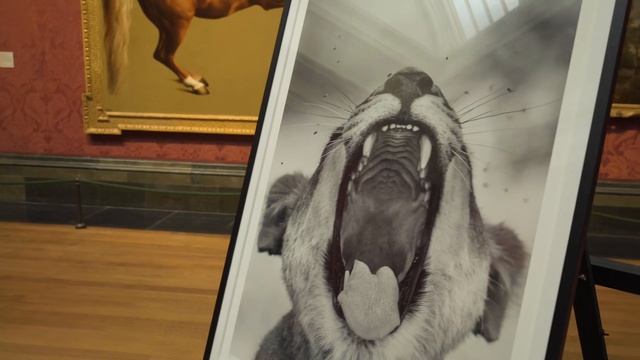 Nikon x National Gallery: Taking inspiration from Fine Art with photographer Harry Skeggs смотреть онлайн