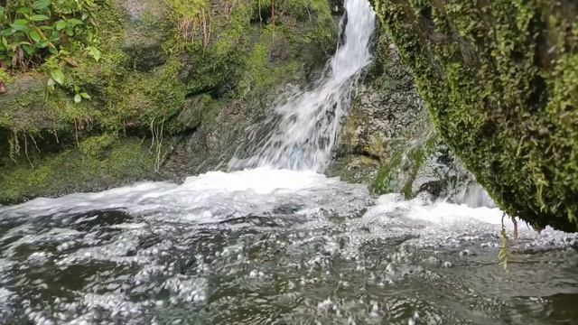 PRAKTIKUM EKOLOGI PERAIRAN смотреть онлайн