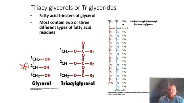 Lipids Intro - pt2 смотреть онлайн