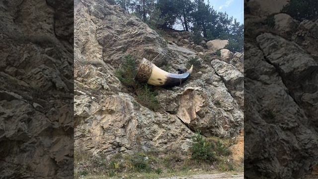 ВИА Аланы - Дæумæ куы бæллын смотреть онлайн