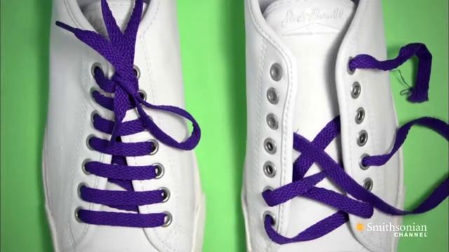 What Is a Telomere смотреть онлайн