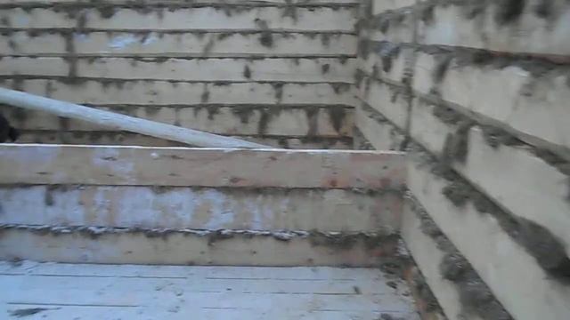 Установка 5 стены сруба бани - Компания СрубБаниДома смотреть онлайн
