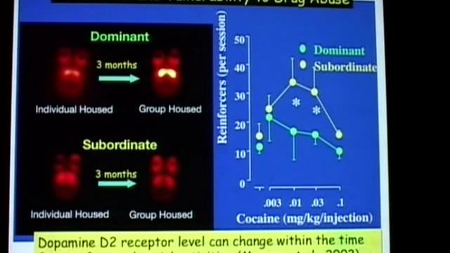 Imaging the Brain's Pathways to Addiction - Joanna Fowler смотреть онлайн