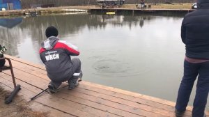 Вываживание форели, форель на спиннинг РК «Фишка» Петряиха