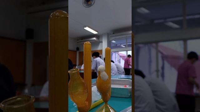 Cellular Respiration Lab: Anaerobic respiration of Yeast смотреть онлайн