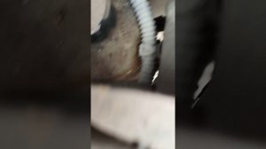 Бачок ГУР форд си Макс 2005 г, как добраться для замены жидкости гур