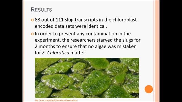 Group A18, Acquisition of photosynthetic chloroplasts from algae in the Elysia chlorotica смотреть онлайн