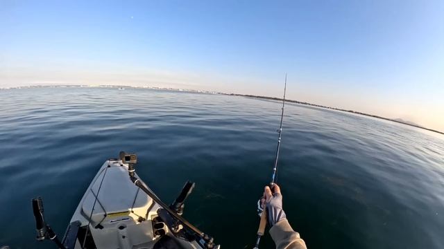 King George Whiting on Soft Plastics breaking in a Shimano Expide & Stradic FM смотреть онлайн