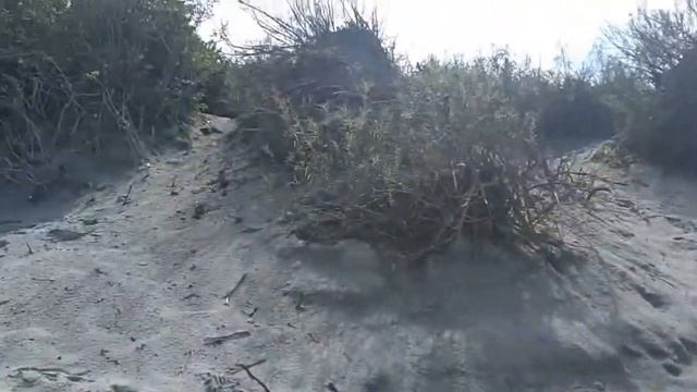 Калининградская обл., г. Зеленоградск смотреть онлайн