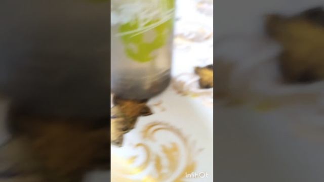 пробую напиток который самому надо делать смотреть онлайн