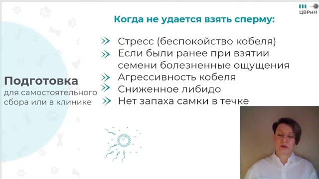 Кто виноват, что нет щенков.Бесплодие кобелей смотреть онлайн