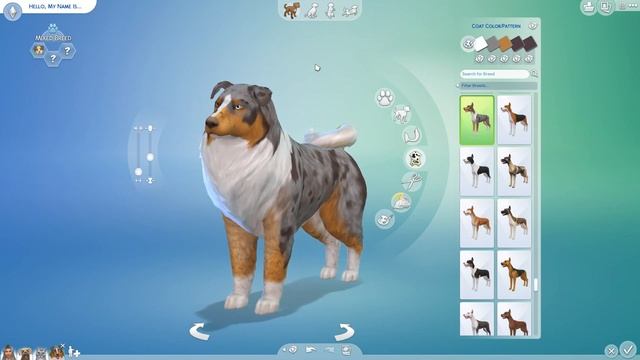 A Big Blue Boy?! 🎲 Random Pet Genetics Challenge!! - Experiment #13 смотреть онлайн