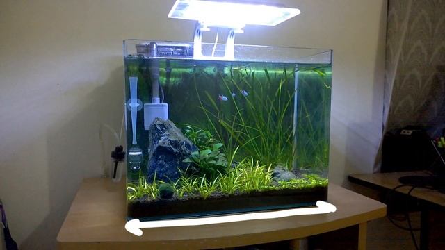 How to use DIY CO2 Diffuser System смотреть онлайн