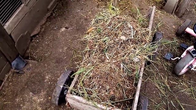 Убираю навоз у кроликов. смотреть онлайн
