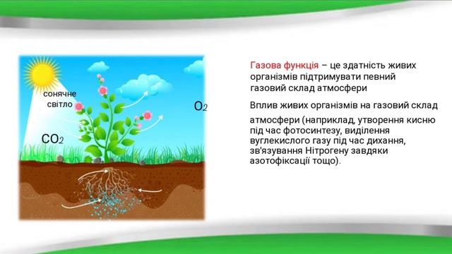 11 клас. Біологія смотреть онлайн