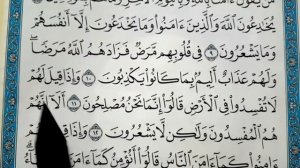 СУРА АЛЬ-БАКАРА, АЯТЫ 6-16