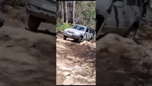 Шевик смотреть онлайн