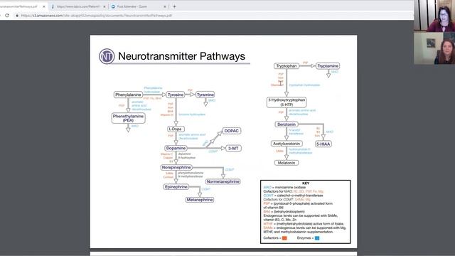 Neurotransmitter lab reveal why does Adrienne feel so fatigued? смотреть онлайн