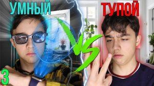 УМНЫЙ VS ТУПОЙ 3| Когда ты тупой// БЕРТ