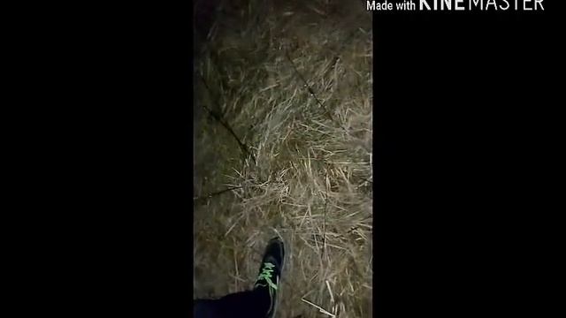 Major Laser - Light it up смотреть онлайн