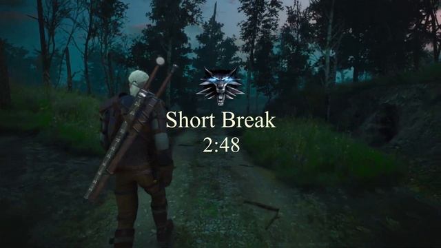 Meditate With Me In The Witcher 3 | Crow's Perch [Pomodoro Timer] [Next Gen] [RTX]