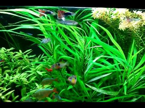 Sunset, willow & kompact hygro смотреть онлайн