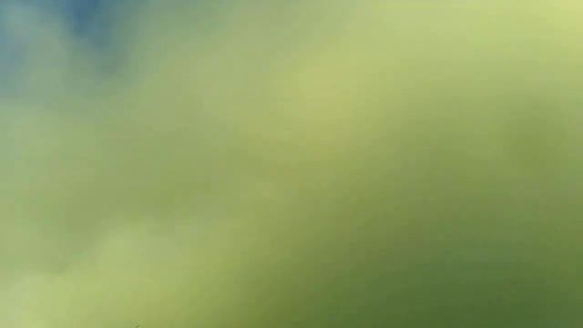 VID 20150624 041656 смотреть онлайн