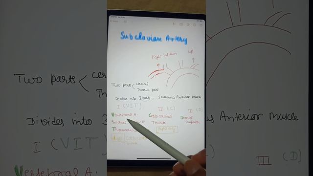 Subclavian Artery and it's branches#aiimsbhubneswar#neet2023#anatomy#norcetexam#odisha#cancerfree смотреть онлайн
