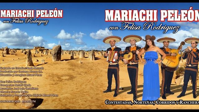 Mariachi peleón con Felisa Rodriguez смотреть онлайн