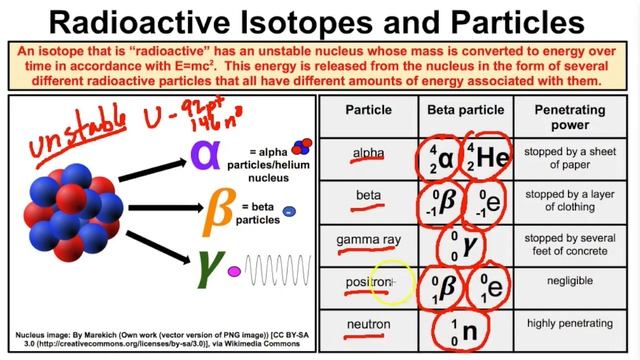 Radioactivity and Radioactive Particles - Explained смотреть онлайн