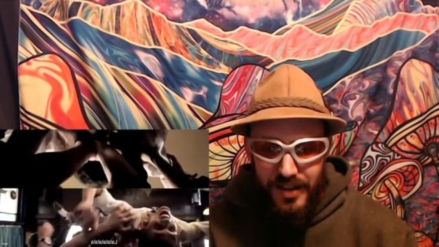 Hippie Reacts - Stromae - Alors On Danse - Now one of my Favorite Dance songs!!! смотреть онлайн