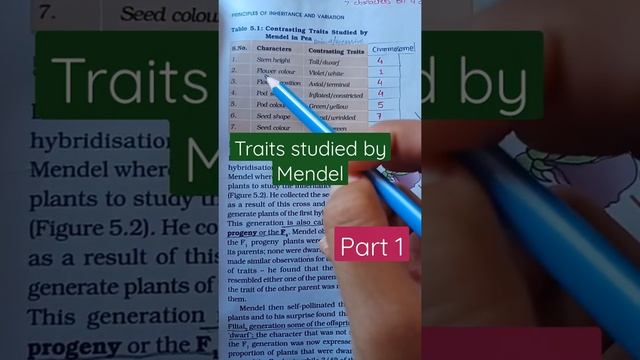 Traits Studied by Mendel,Part 1 смотреть онлайн