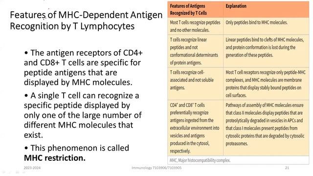 Chapter 5 (TCR & MHC) смотреть онлайн