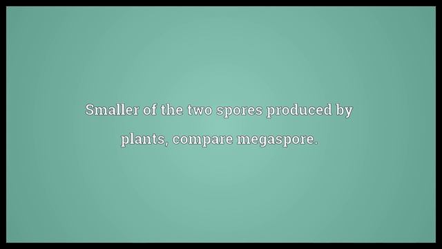 Microspore Meaning смотреть онлайн