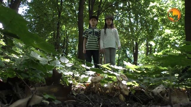 Соціальна реклама - обережно, гриби! смотреть онлайн