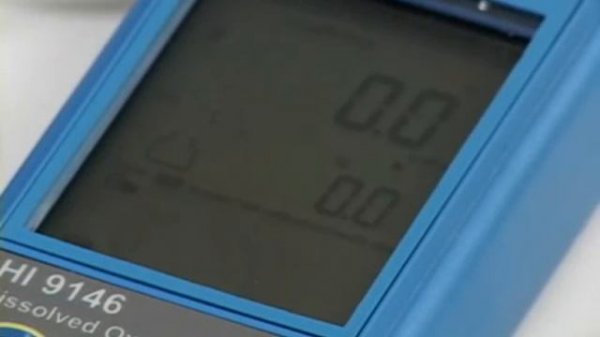 Uso del medidor de Oxígeno Disuelto HI 9146