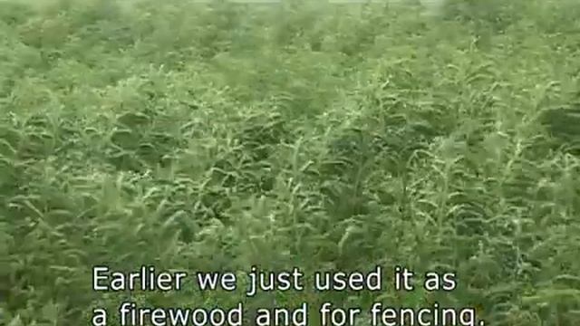Climate Protection Project: Electricity from biomass in Bihar, India – myclimate смотреть онлайн