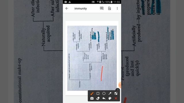 immunity and its types смотреть онлайн