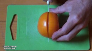 ТОМАТ ЖЕМЧУЖИНА ДЖАНЕТ. Обзор сорта, личный опыт.