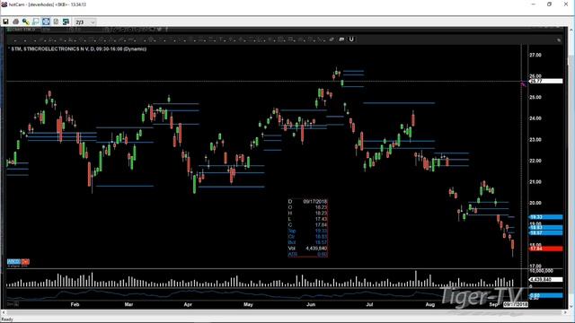 Steve Rhodes Breaks Down Direction of BHC and Micron Tech смотреть онлайн