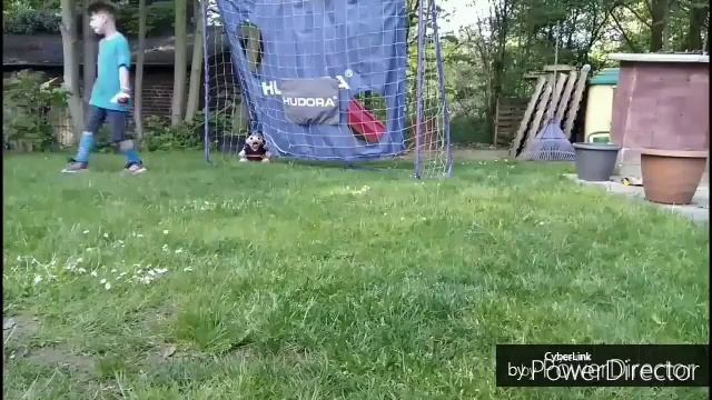 Torwart im Garten смотреть онлайн